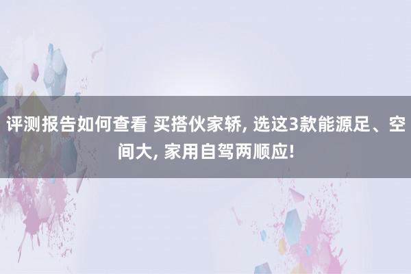 评测报告如何查看 买搭伙家轿, 选这3款能源足、空间大, 家用自驾两顺应!