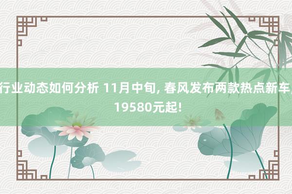 行业动态如何分析 11月中旬, 春风发布两款热点新车, 19580元起!