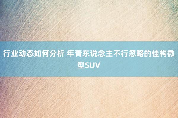 行业动态如何分析 年青东说念主不行忽略的佳构微型SUV