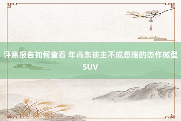 评测报告如何查看 年青东谈主不成忽略的杰作微型SUV