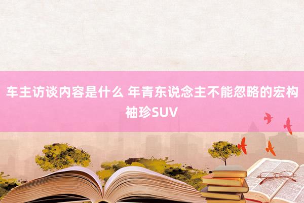 车主访谈内容是什么 年青东说念主不能忽略的宏构袖珍SUV