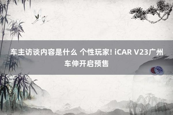 车主访谈内容是什么 个性玩家! iCAR V23广州车伸开启预售