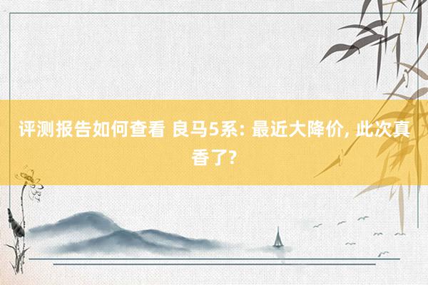 评测报告如何查看 良马5系: 最近大降价, 此次真香了?