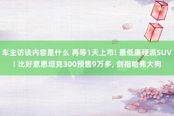 车主访谈内容是什么 再等1天上市! 最低廉硬派SUV! 比好意思坦克300预售9万多, 剑指哈弗大狗