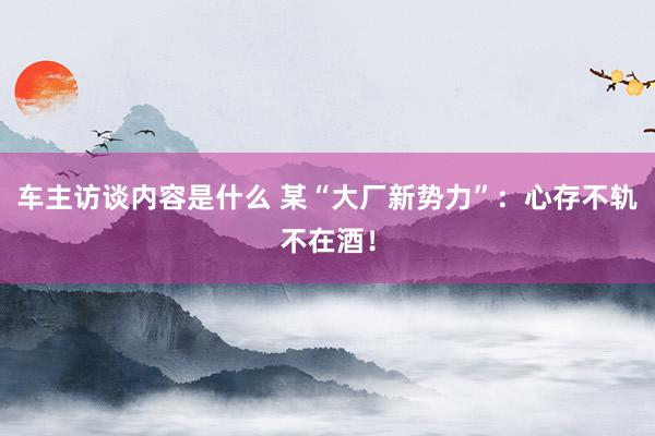 车主访谈内容是什么 某“大厂新势力”：心存不轨不在酒！