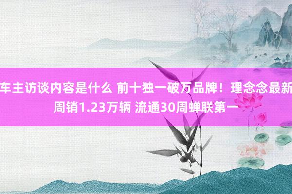 车主访谈内容是什么 前十独一破万品牌！理念念最新周销1.23万辆 流通30周蝉联第一