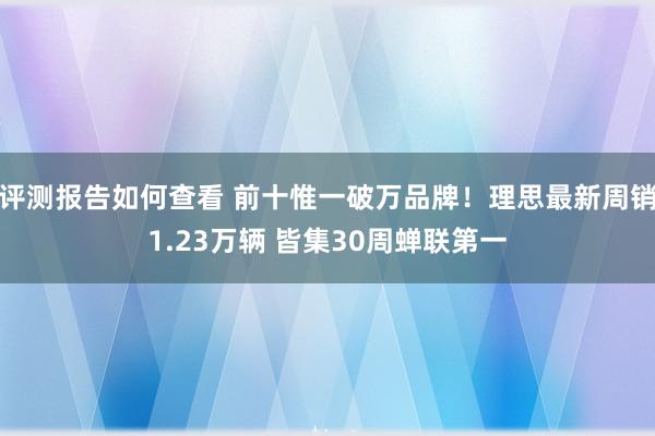 评测报告如何查看 前十惟一破万品牌！理思最新周销1.23万辆 皆集30周蝉联第一