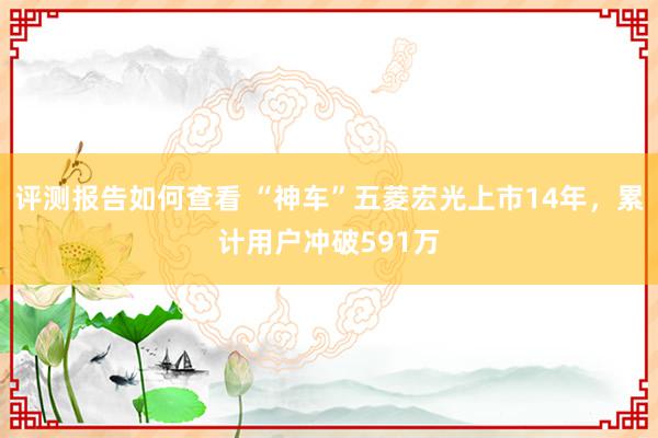 评测报告如何查看 “神车”五菱宏光上市14年，累计用户冲破591万