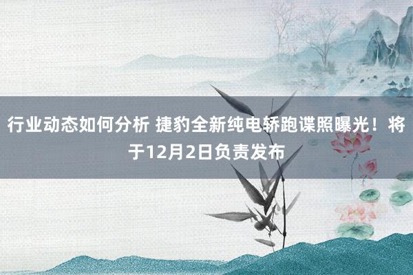 行业动态如何分析 捷豹全新纯电轿跑谍照曝光！将于12月2日负责发布