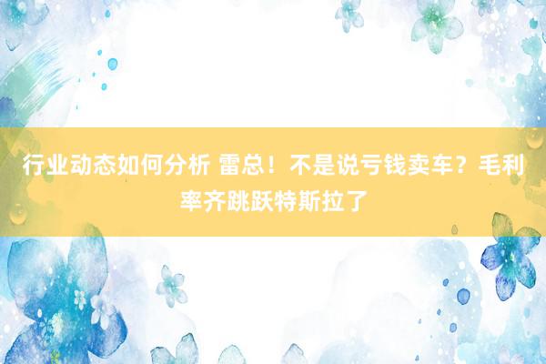 行业动态如何分析 雷总！不是说亏钱卖车？毛利率齐跳跃特斯拉了