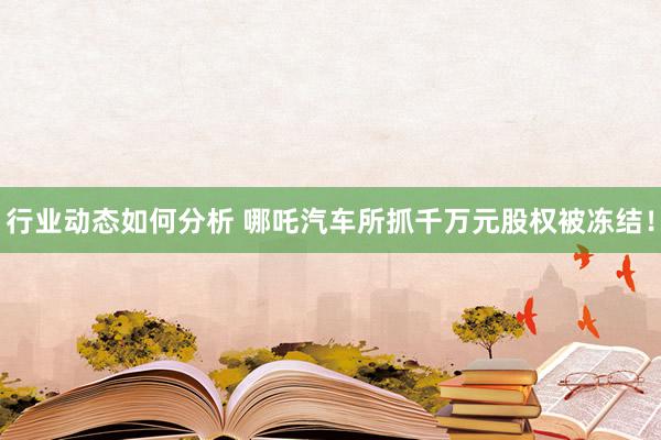 行业动态如何分析 哪吒汽车所抓千万元股权被冻结！