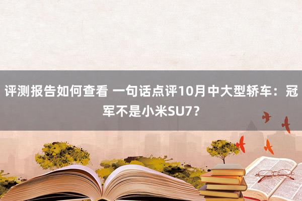 评测报告如何查看 一句话点评10月中大型轿车：冠军不是小米SU7？