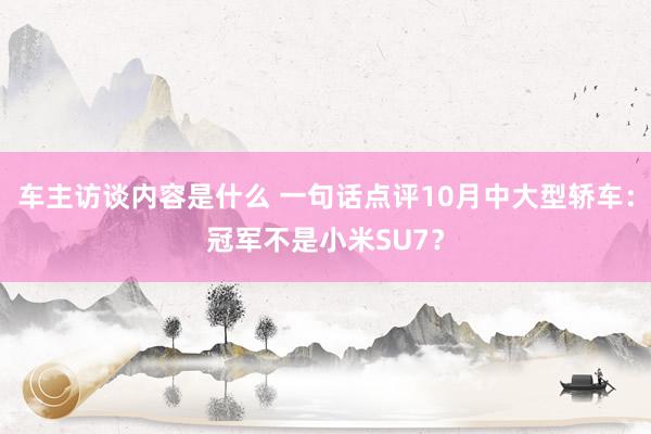 车主访谈内容是什么 一句话点评10月中大型轿车：冠军不是小米SU7？