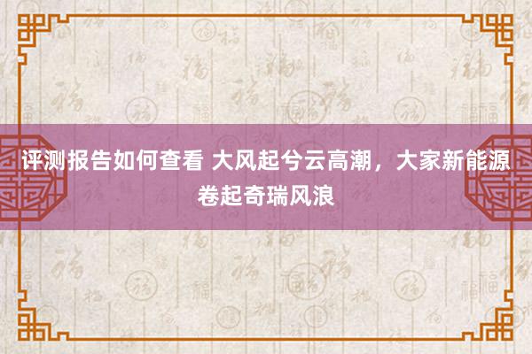 评测报告如何查看 大风起兮云高潮，大家新能源卷起奇瑞风浪