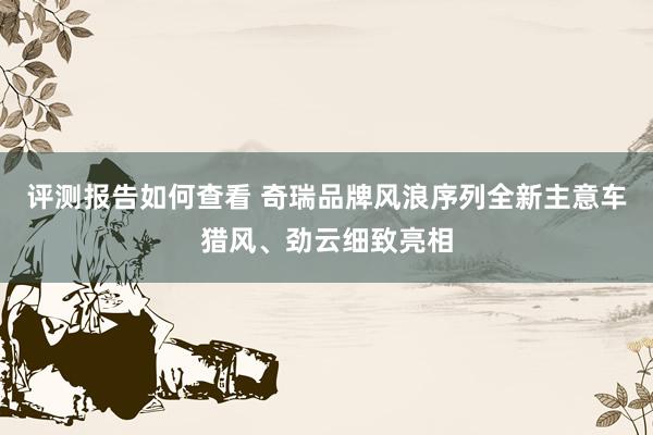 评测报告如何查看 奇瑞品牌风浪序列全新主意车猎风、劲云细致亮相