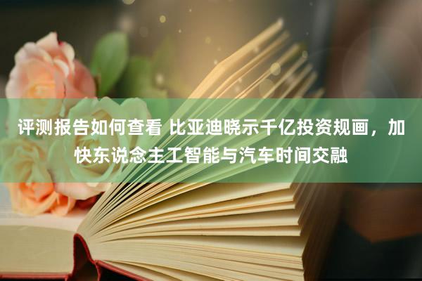 评测报告如何查看 比亚迪晓示千亿投资规画，加快东说念主工智能与汽车时间交融