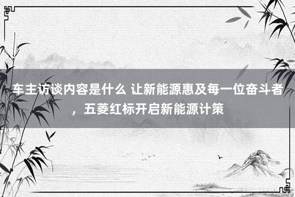 车主访谈内容是什么 让新能源惠及每一位奋斗者，五菱红标开启新能源计策