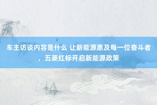 车主访谈内容是什么 让新能源惠及每一位奋斗者，五菱红标开启新能源政策