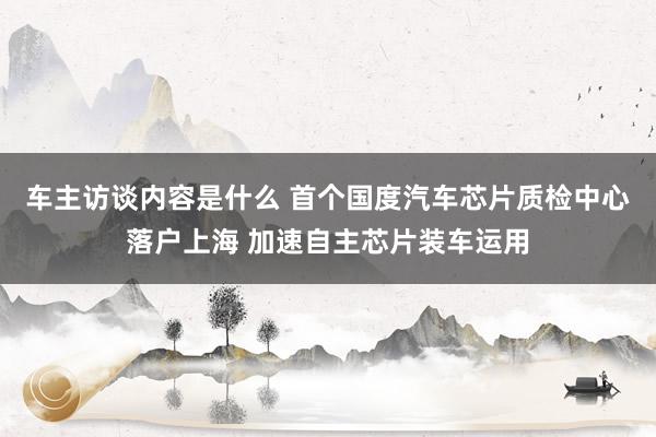 车主访谈内容是什么 首个国度汽车芯片质检中心落户上海 加速自主芯片装车运用