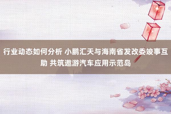 行业动态如何分析 小鹏汇天与海南省发改委竣事互助 共筑遨游汽车应用示范岛