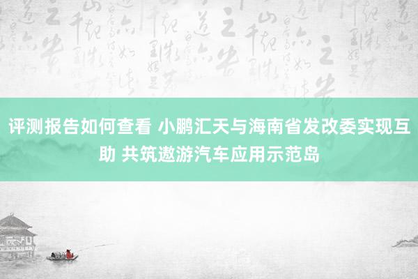 评测报告如何查看 小鹏汇天与海南省发改委实现互助 共筑遨游汽车应用示范岛