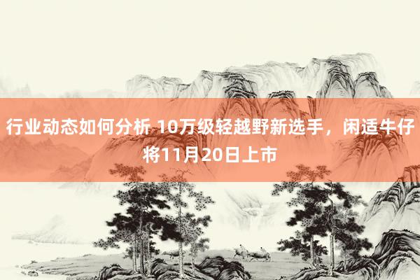 行业动态如何分析 10万级轻越野新选手，闲适牛仔将11月20日上市