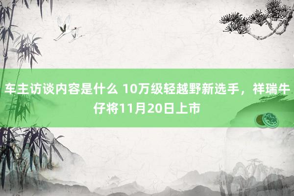 车主访谈内容是什么 10万级轻越野新选手，祥瑞牛仔将11月20日上市