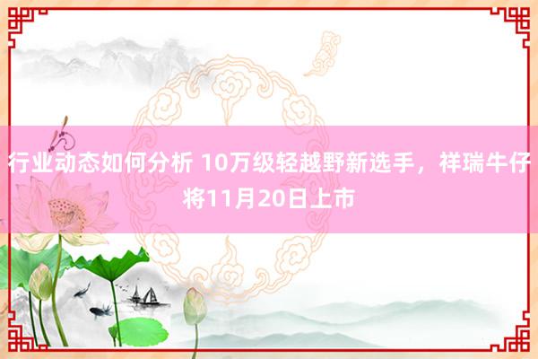 行业动态如何分析 10万级轻越野新选手，祥瑞牛仔将11月20日上市